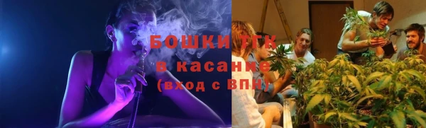 ешки Инта
