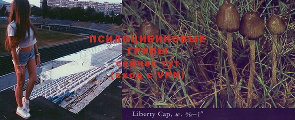 гашиш Аркадак