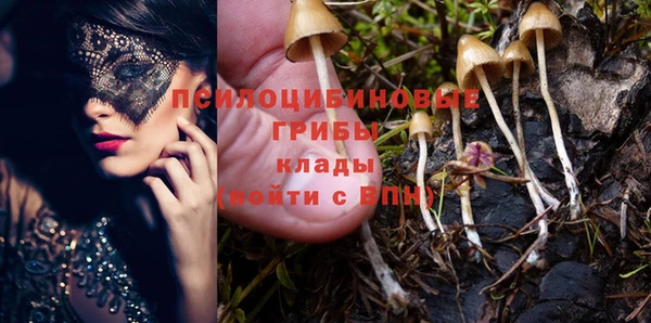стаф Майский
